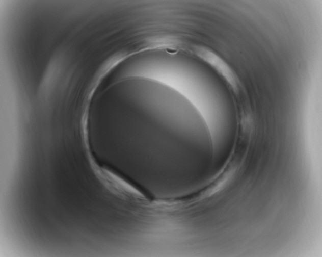 X0000099950954200805231319