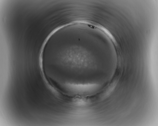X0000099950955200805231319