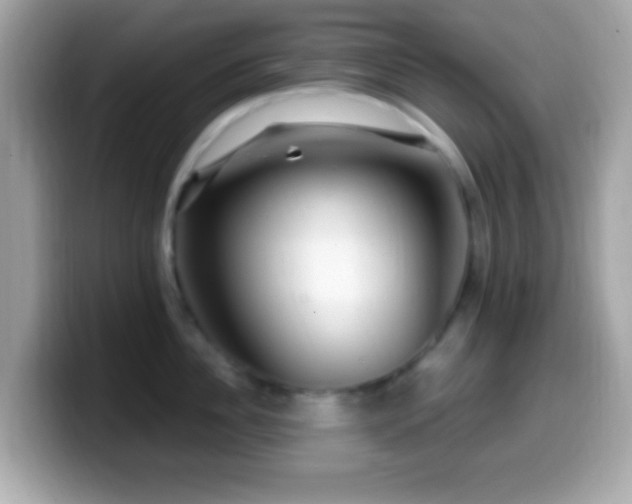 X0000099950956200805231319