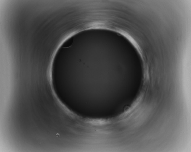 X0000099950957200805231319