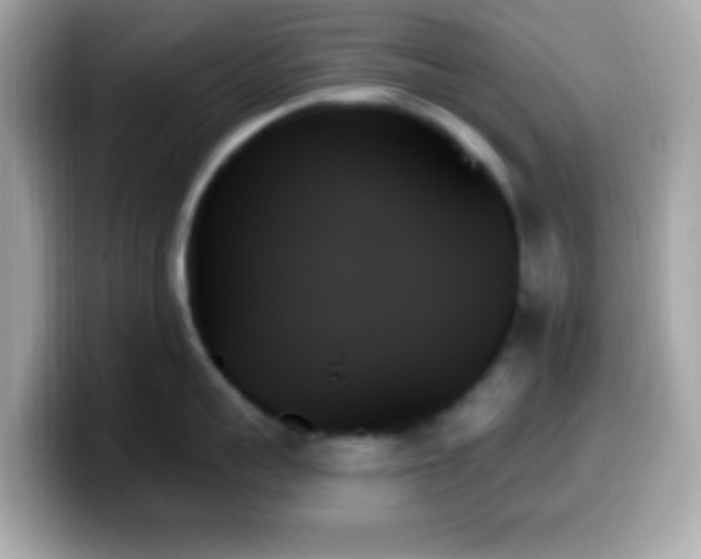 X0000099950959200805231319