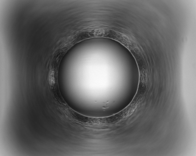 X0000099950962200805231318