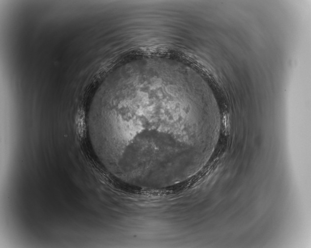 X0000099950963200805231318