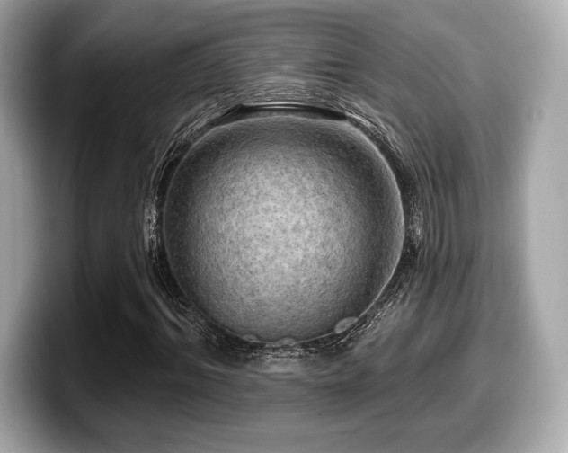 X0000099950964200805231318