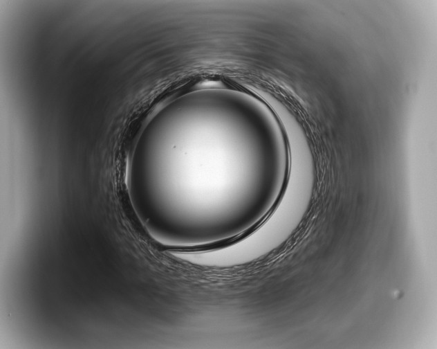 X0000099950965200805231318