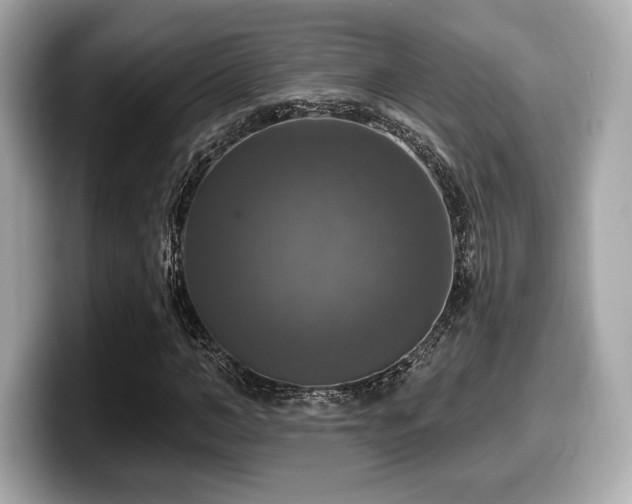 X0000099950966200805231318