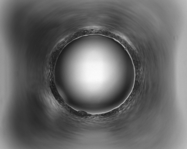 X0000099950967200805231318