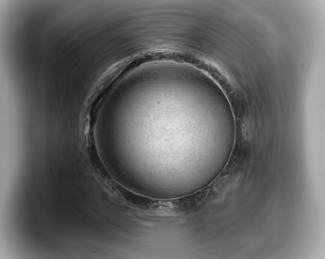 X0000099950968200805231318