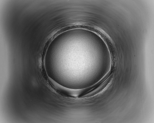X0000099950969200805231318