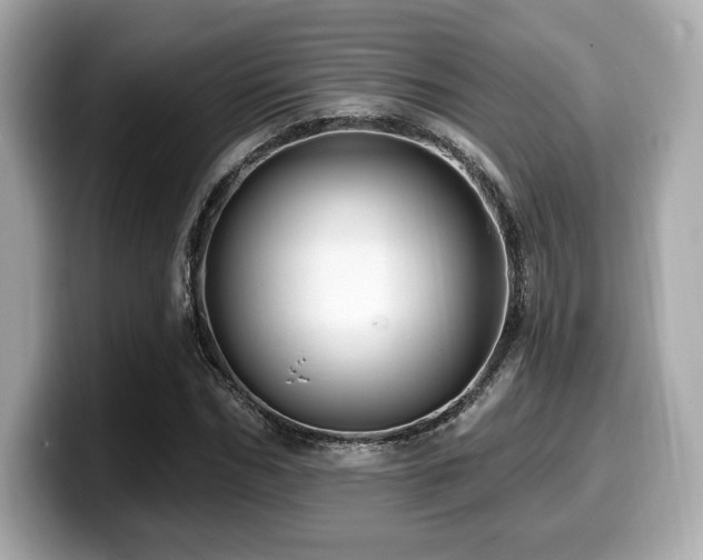 X0000099950970200805231318