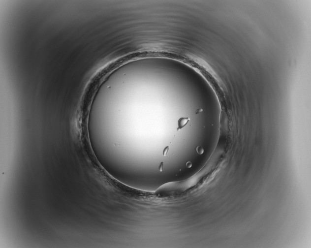 X0000099950971200805231318