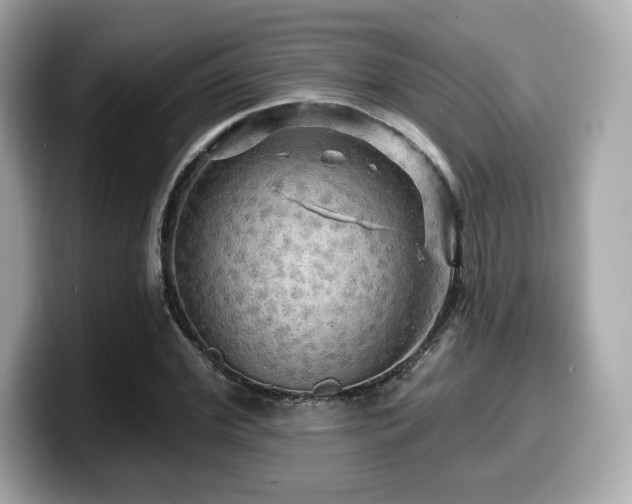 X0000099950972200805231318