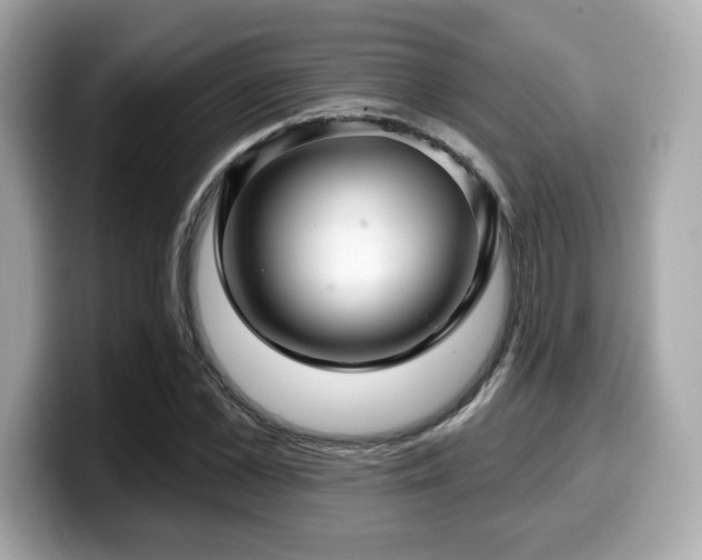 X0000099950973200805231318