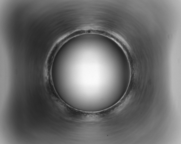X0000099950974200805231318