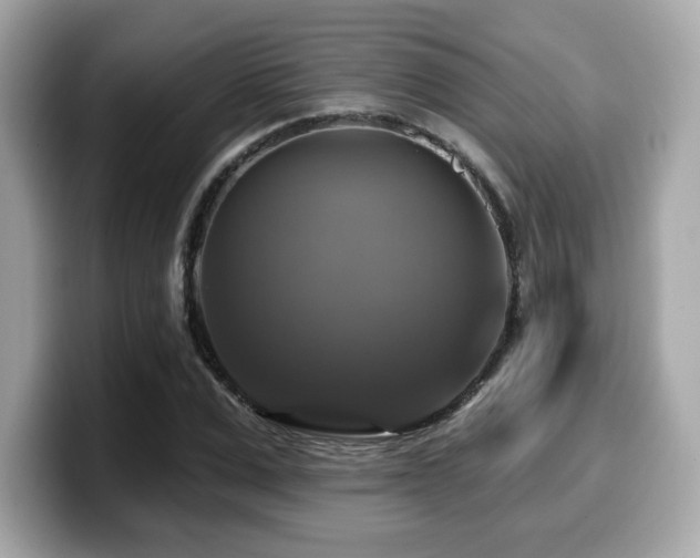 X0000099950975200805231318