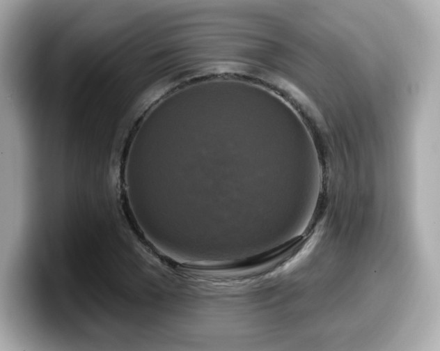 X0000099950977200805231318
