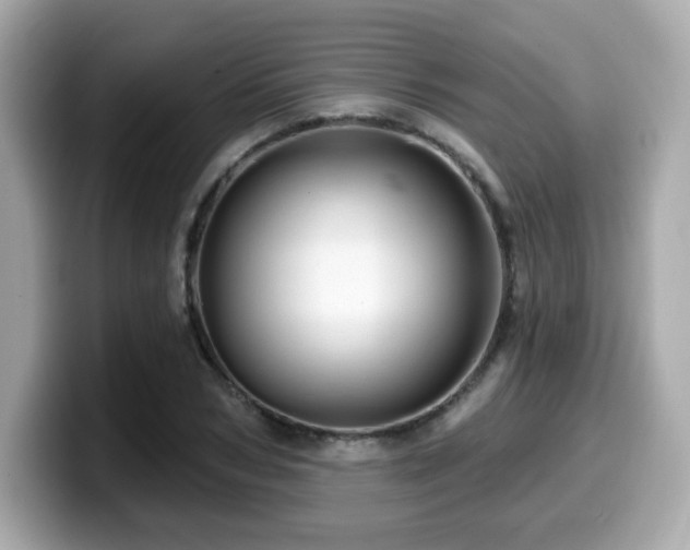 X0000099950978200805231318