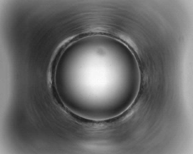 X0000099950979200805231318