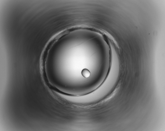 X0000099950981200805231318