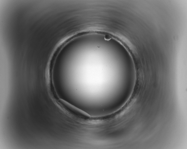 X0000099950982200805231318