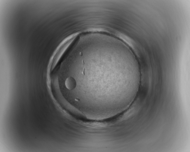 X0000099950984200805231318
