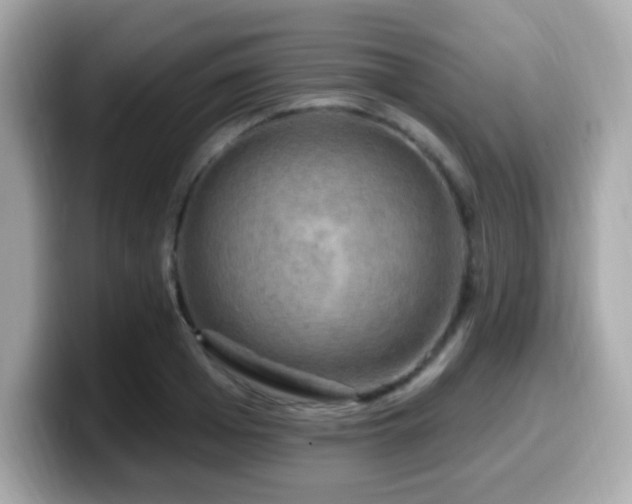 X0000099950985200805231318