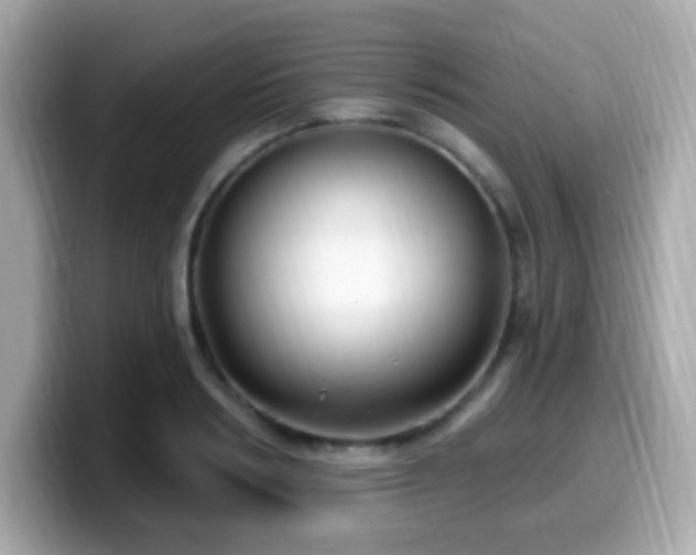 X0000099950986200805231318