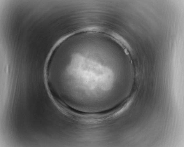 X0000099950989200805231318