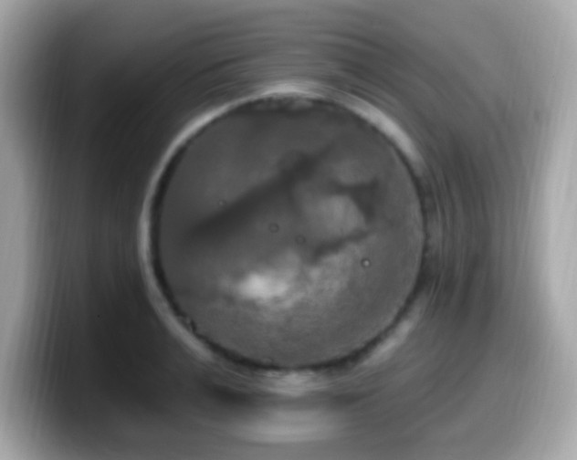 X0000099950991200805231318