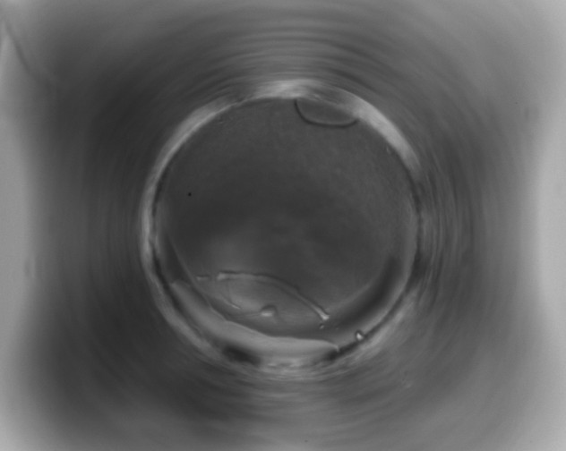 X0000099950994200805231318