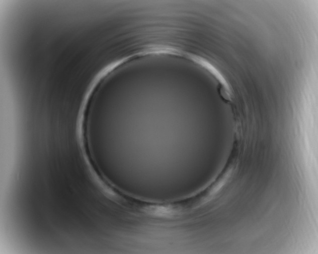 X0000099950995200805231318