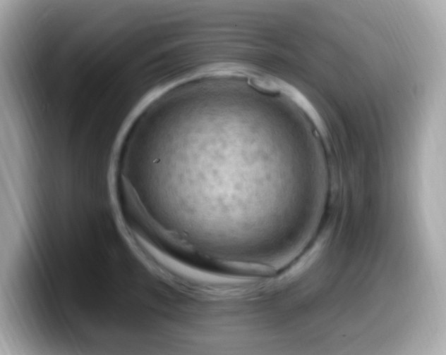 X0000099950997200805231318