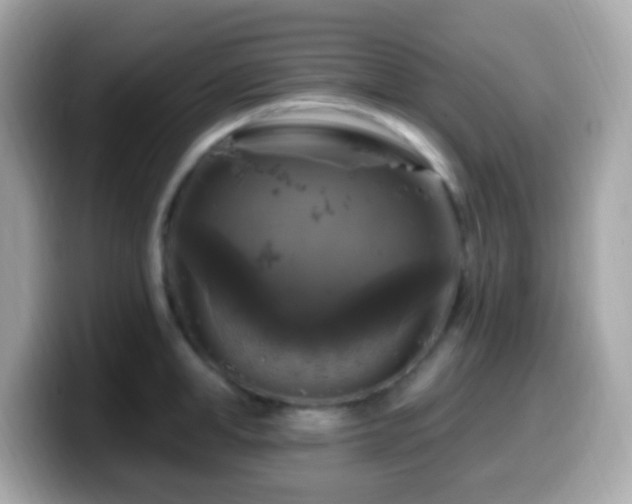 X0000099950998200805231318