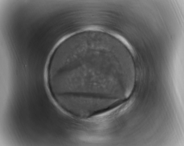 X0000099950999200805231318