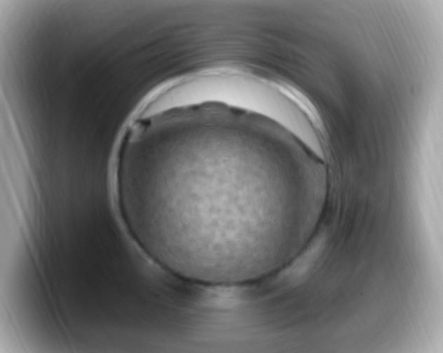 X0000099951000200805231318
