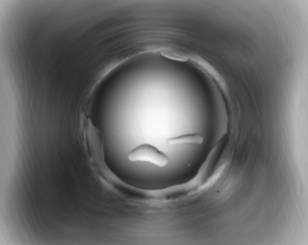X0000099951001200805231318