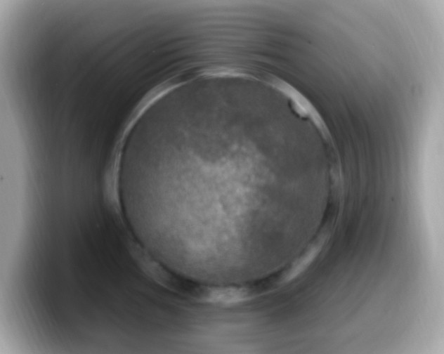 X0000099951002200805231318