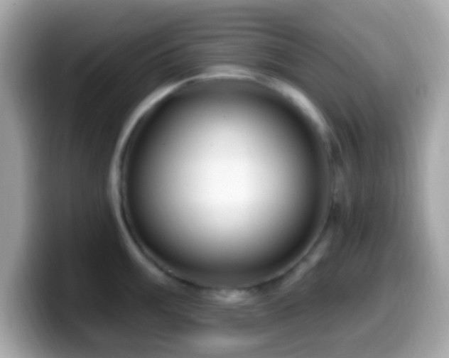 X0000099951003200805231318