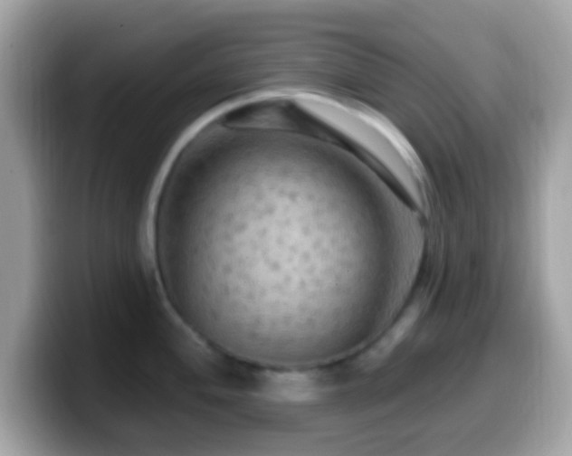 X0000099951004200805231318