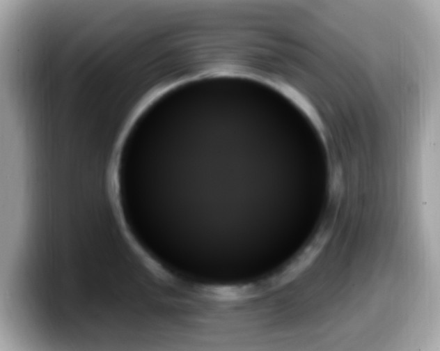 X0000099951005200805231318