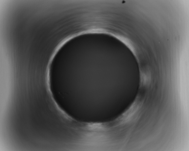 X0000099951006200805231318