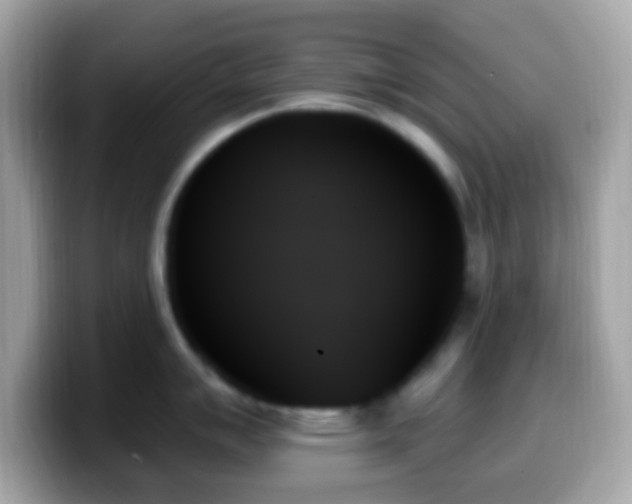 X0000099951007200805231318