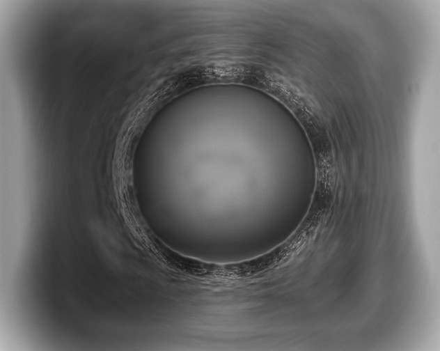 X0000099951009200805231317