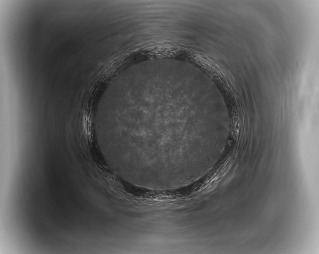 X0000099951010200805231317