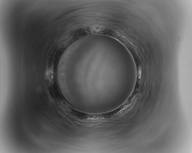 X0000099951011200805231317