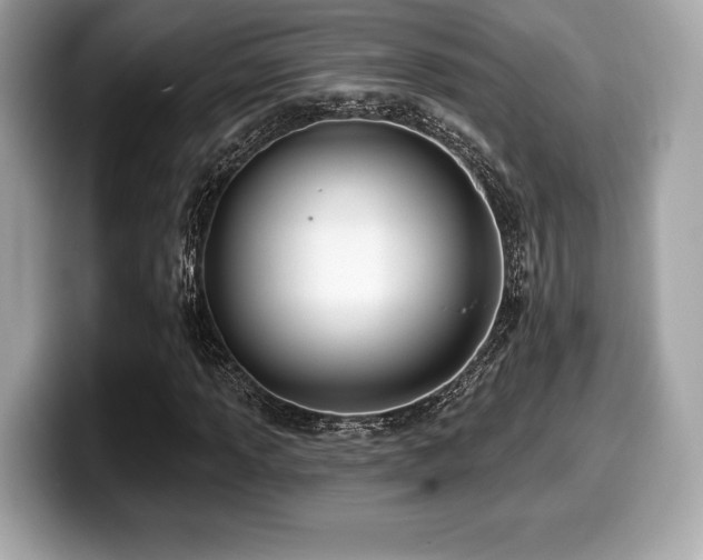 X0000099951013200805231317