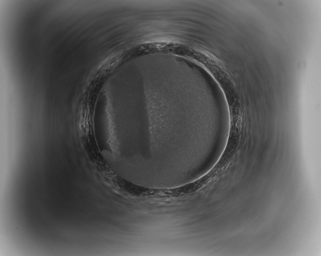 X0000099951014200805231317