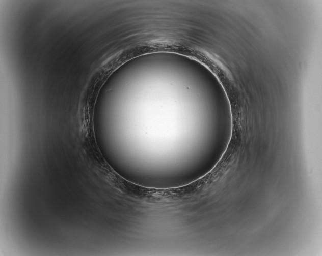X0000099951015200805231317