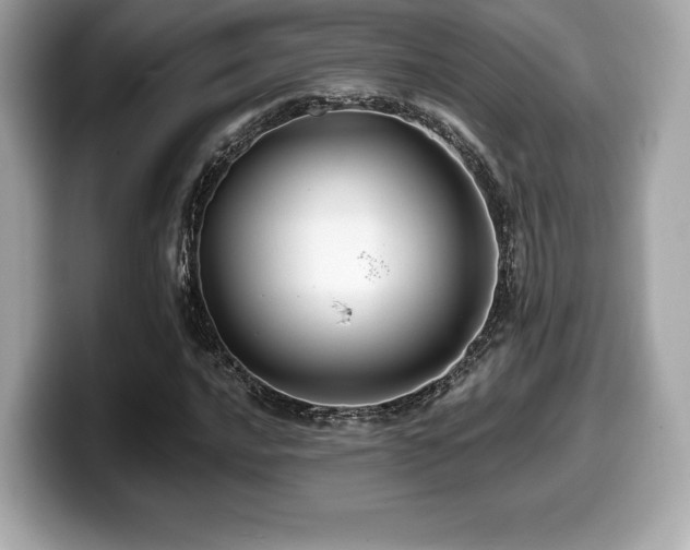 X0000099951016200805231317