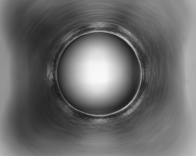 X0000099951017200805231317